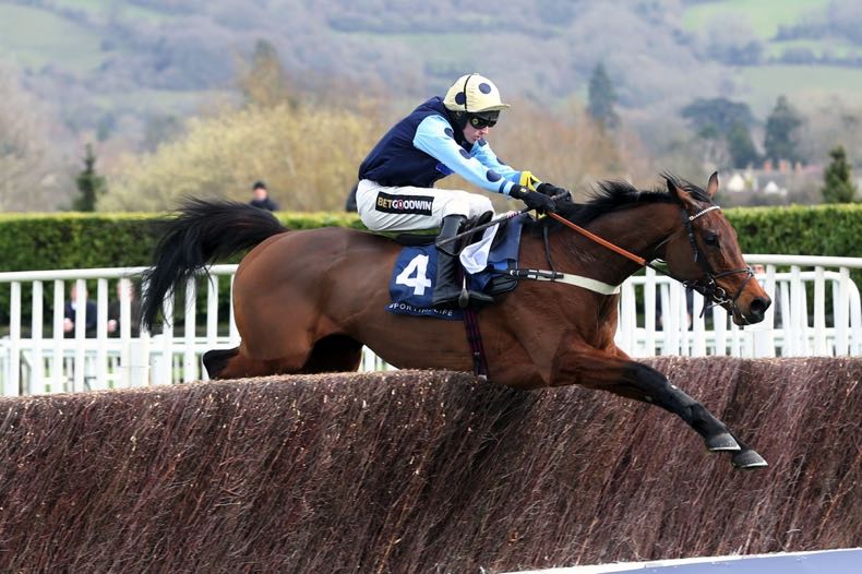 Jumps racing at Cheltenham