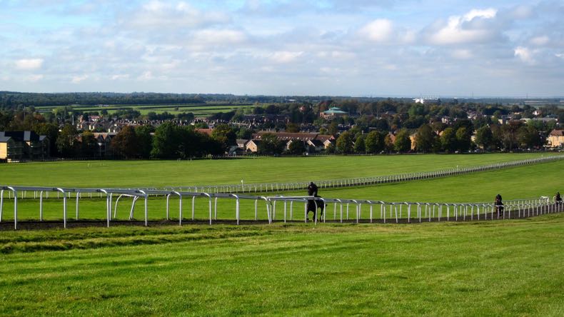 Newmarket training