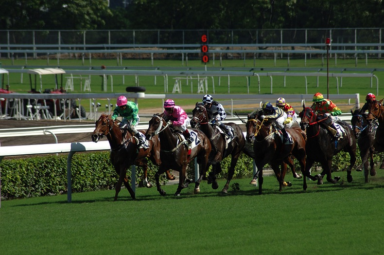 Cluster of horses and jockeys