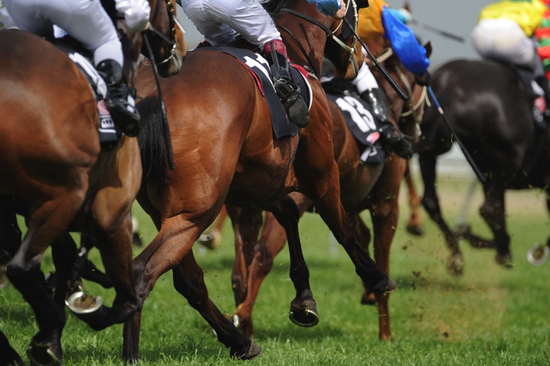 Horse racing up close