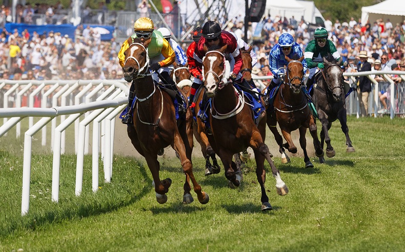 Horse racing clump