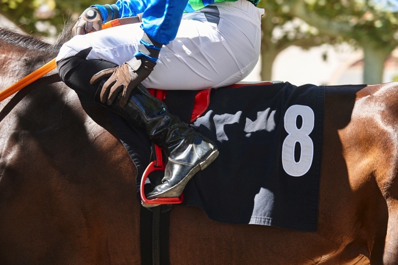 Horse racing jockey on number 8