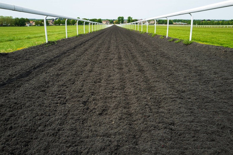 Newmarket Racecourse track