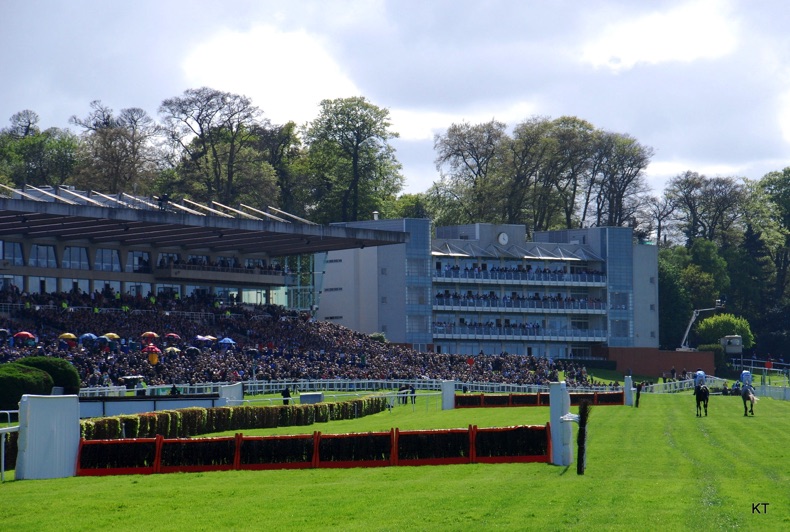 Sandown Park Racing