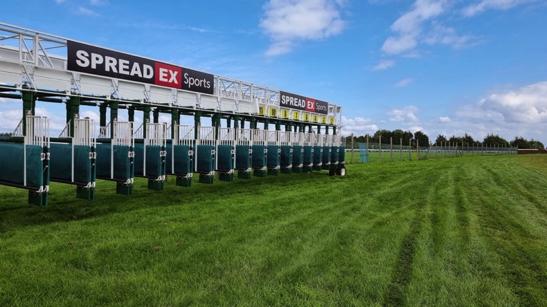 Bath Racecourse starting gate