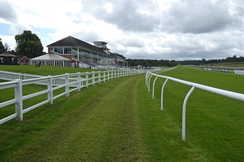 Lingfield Park Racecourse-track