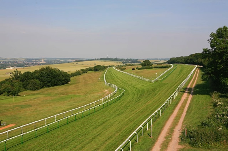 Salisbury Racecourse track