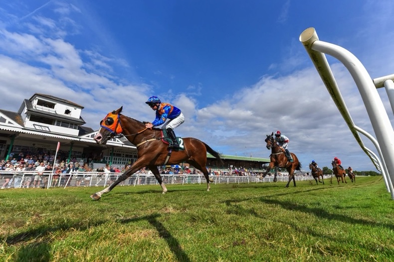 Catterick Bridge racing