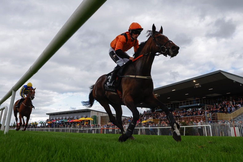 Down Royal Racecourse