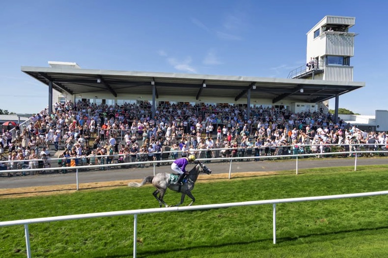 Downpatrick Racecourse action shot