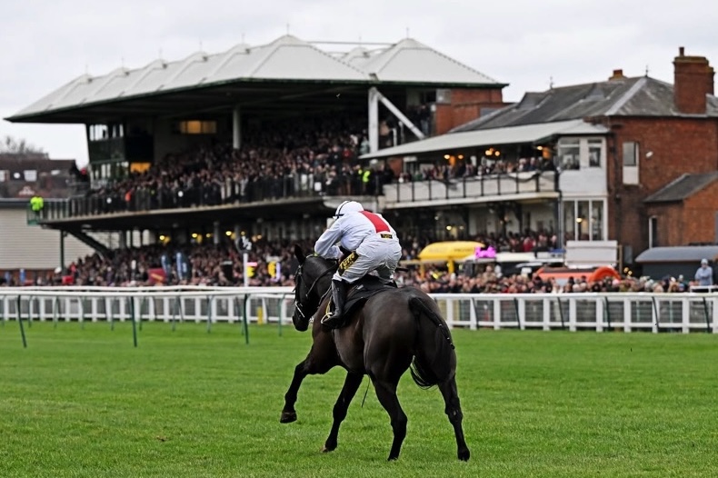Warwick Racecourse jockey and horse