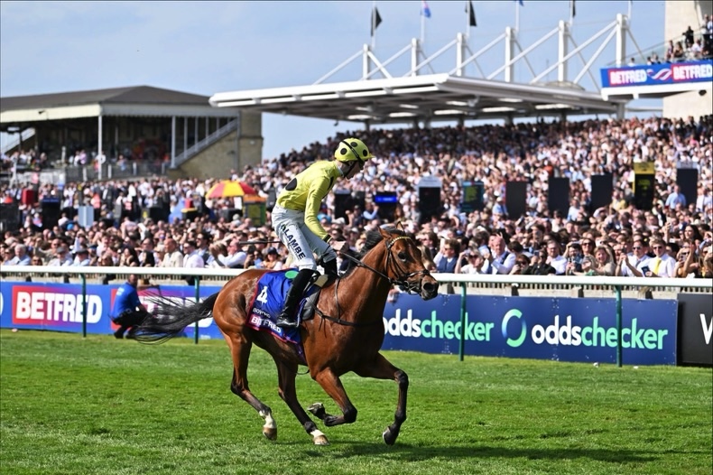 Wolverhampton Racecourse jockey action shot